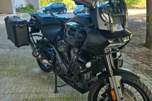 Pan America 1250 Special