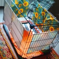 gabbia per animali domestici 