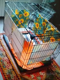 gabbia per animali domestici 