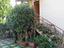 Immagine 15