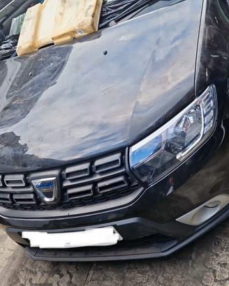 Musata Dacia Sandero Stepway anno 2019 (2a)
