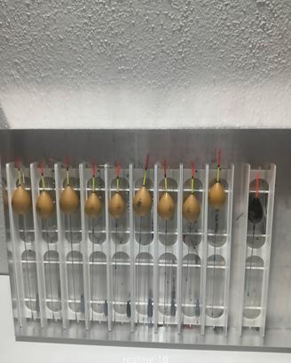 Lenze pronte con galleggianti montati