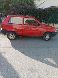 Panda 750 young