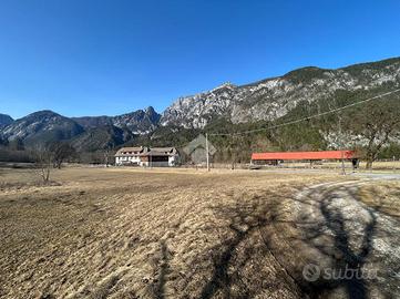 TER. RESIDENZIALE A MALBORGHETTO-VALBRUNA