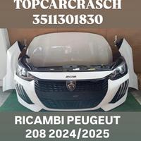RICAMBI RENAULT CLIO 2025