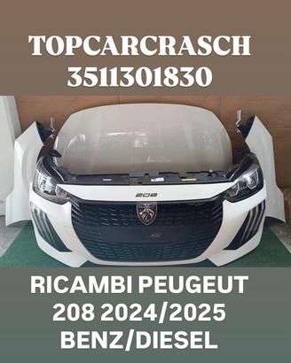 RICAMBI RENAULT CLIO 2025