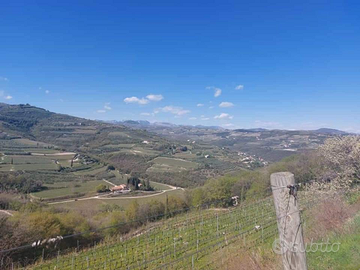 Terreno edificabile in collina a Pian di Castagné