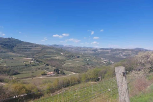 Terreno edificabile in collina a Pian di Castagné