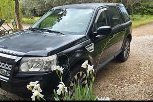 Freelander 2010