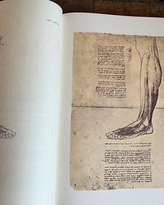 Leonardo da Vinci - Dell’Anatomia. Ed. numerata