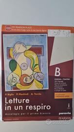 Letture in un respiro B ISBN 9788839525284