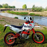 Honda Dominator Nx 650