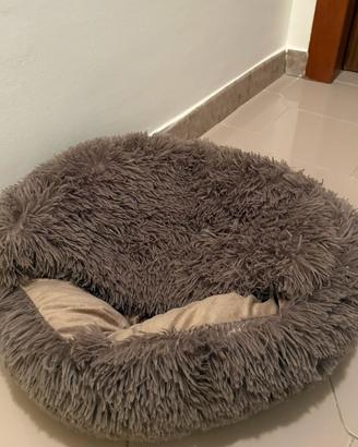 Lettino cane.
