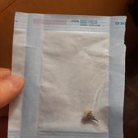 Dente con perno moncone