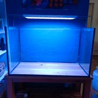 Vasca acquario 100 lt