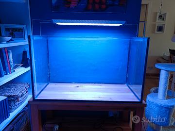 Vasca acquario 100 lt