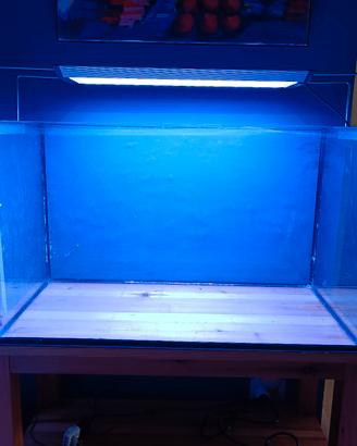 Vasca acquario 100 lt