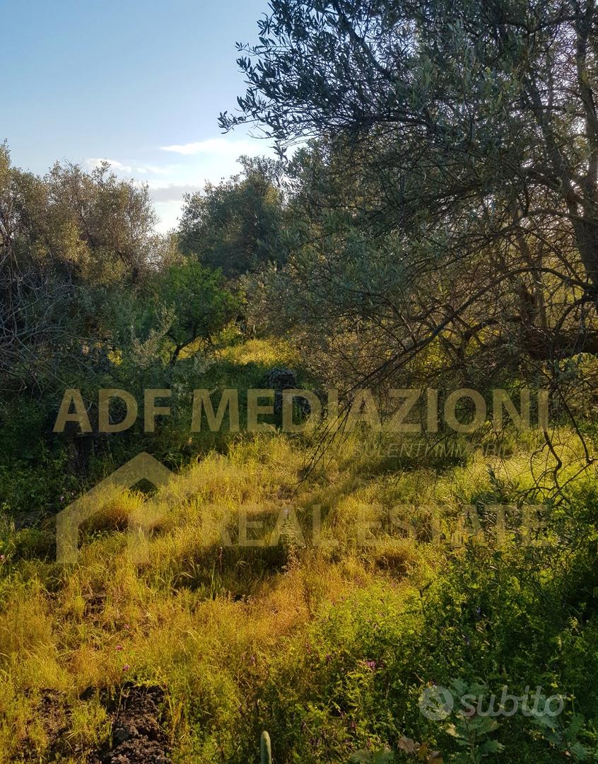 Terreno Con Ruderi Madonna Ammalati - Vista 3