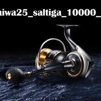 daiwa_25_saltiga_10000_H