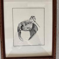 stampe e cartolina antiche