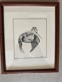 stampe e cartolina antiche