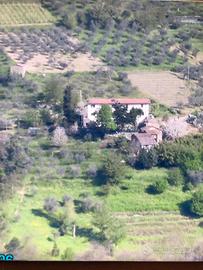 Casale villa con terreno e strada privata