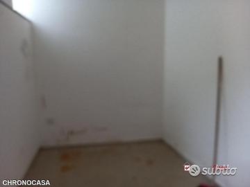 Bottega piano terra zonaTremestieri