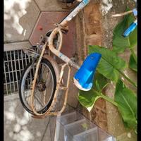 bici Graziella bambino carnielli 