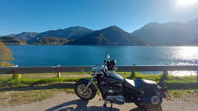 harley davidson sportster 1200c xl