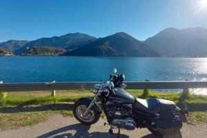 harley davidson sportster 1200c xl