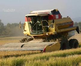 Un centinaio di giornate a sud di VC