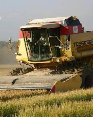 Un centinaio di giornate a sud di VC