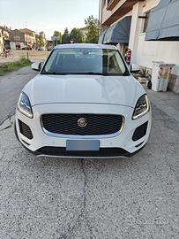 Jaguar e pace