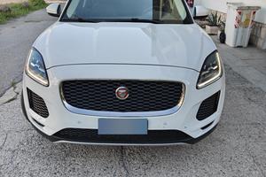 Jaguar e pace