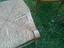 Immagine 3