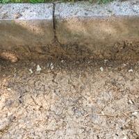 Betonella e lastra cemento