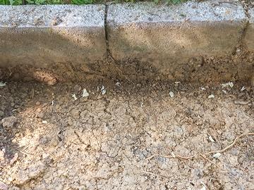 Betonella e lastra cemento