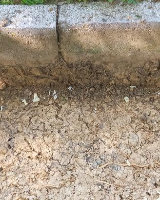 Betonella e lastra cemento