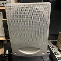 Montarbo MT160A Cassa amplificata