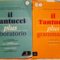 Il tantucci plus