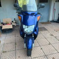 Honda foresight 250 '98