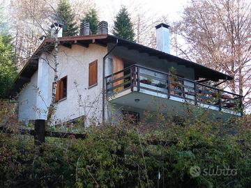 Vivere nella casa del bosco