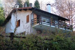 Vivere nella casa del bosco