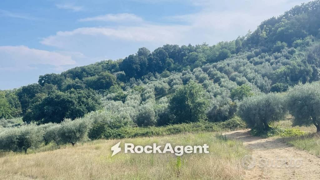 Terreno di 12880 m² a Sant'Omero - Vista 2