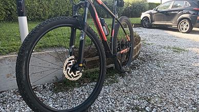 bici MTB muscolare wilier triestina 503 x 