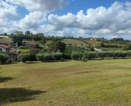 Terreno agricolo