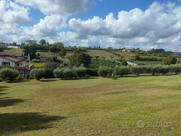 Terreno agricolo