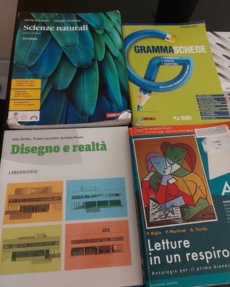 Libri liceo artistico musicale