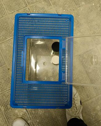 Vasca Acquario / Fauna Box 18 Litri