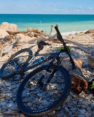 Mtb Giant 29°